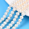 Natural Cultured Freshwater Pearl Beads Strands PEAR-N016-05A-2