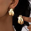 Alloy Two-layer Hoop Earrings FS-WG81E20-01-1