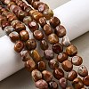 Natural Petrified Wood Beads Strands G-L621-C11-02-1
