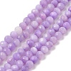 Natural Freshwater Shell Dyed Beads Strands SHEL-R100-12A-01-1