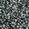 Baking Paint Glass Seed Beads SEED-Q041-03A-04-3