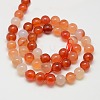 Natural Carnelian Beads Strands G-N0006-8mm-17-6