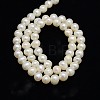 Natural Cultured Freshwater Pearl Beads Strands X-PEAR-L001-E-13-3
