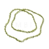 Natural Peridot Beads Strands G-E607-A06-2