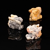 Natural Crazy Agate Display Decorations PW-WG14A90-43-1