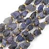 Raw Rough Natural Tanzanite Beads Strands G-D101-A12-2