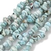Natural Larimar Beads Strands G-P302-03-4
