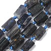 Natural Iolite Beads Strands G-C270-K06-2