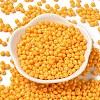 6/0 Opaque Baking Paint Glass Seed Beads SEED-M012-02A-21-2