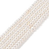 Electroplated Shell Pearl Beads Strands BSHE-C006-04A-1