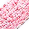 Natural Malaysia Jade Beads Strands G-L645-A01-10mm-33-2