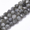 Natural Labradorite Beads Strands G-R465-33C-1