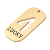 304 Stainless Steel Pendants STAS-D200-02E-G-2