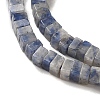 Natural Blue Spot Jasper Beads Strands G-N342-82-4