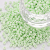 8/0 Opaque Glass Seed Beads SEED-S048-N-009-1