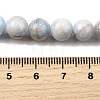 Natural Striped Stone Beads Strands G-D315-A01-01-10mm-5