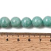 Natural Amazonite Bead Strands G-P204-02-10mm-6