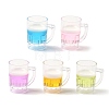 Transparent Resin Pendants RESI-I355-04-1