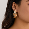 Alloy Stud Earrings FS-WG99CF6-01-1