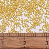 MIYUKI Delica Beads SEED-MY11-DB2102-4