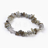 Natural Labradorite Beads Stretch Bracelets BJEW-JB03926-09-1