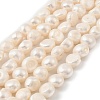 Natural Cultured Freshwater Pearl Beads Strands PEAR-P064-19L-05B-2