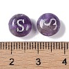 Natural Amethyst Beads G-L524-20S-03-3