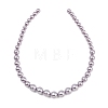 Electroplated Shell Pearl Graduated Beads Strands BSHE-C011-04-03-5