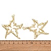 Alloy Big Pendants X1-FIND-Z095-10G-3