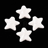 Handmade Porcelain Beads PORC-N008-03F-1