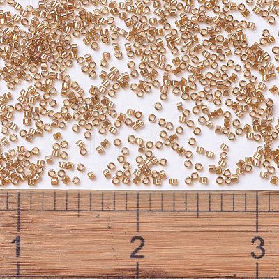 MIYUKI Delica Beads SEED-X0054-DB1241-1