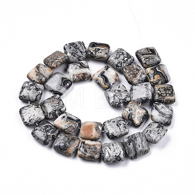 Natural Map Stone/Picasso Stone/Picasso Jasper Beads Strands X-G-N326-140H-1
