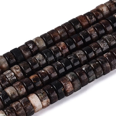 Natural Biotite Beads Strands G-N367-03A-13-1