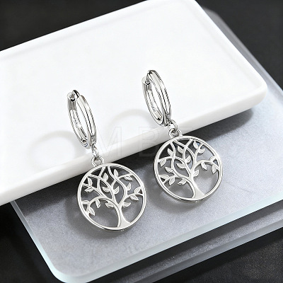 304 Stainless Steel Hoop Dangle Earrings for Women WG02B39-02-1