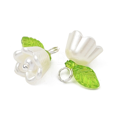 Acrylic with ABS Plastic Imitation Pearl Pendants PALLOY-JF05659-12-1