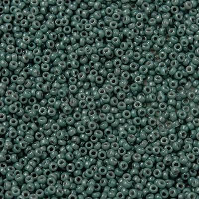 MIYUKI Round Rocailles Beads SEED-X0056-RR4481-1