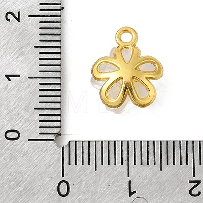 Alloy Glass Charms FIND-C079-05G-03-1