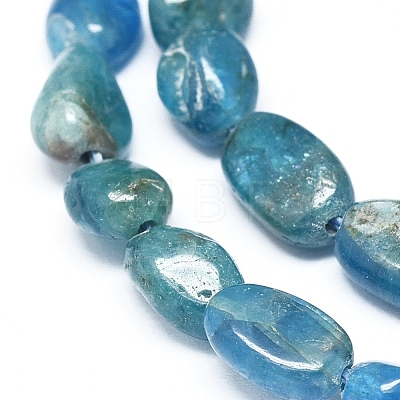 Natural Apatite Beads Strands X-G-D0004-A02-01-1