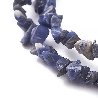 Natural Sodalite Beads Strands LS-G-G782-31-1