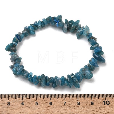 Natural Apatite Chip Beaded Stretch Bracelets for Women BJEW-D467-01B-1