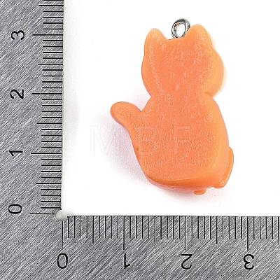 Halloween Theme Resin Pendants RESI-M046-01A-02-1