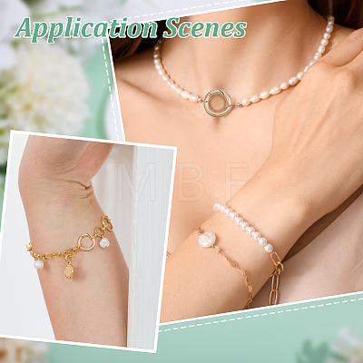 5Pcs 304 Stainless Steel Spring Gate Clasp Findings STAS-HY0002-14G-1