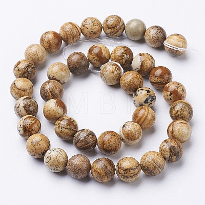 Natural Gemstone Beads Strands GSR10mmC016-1