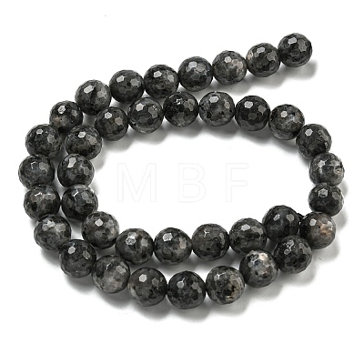 Natural Larvikite Beads Strands G-E571-A09-03-1