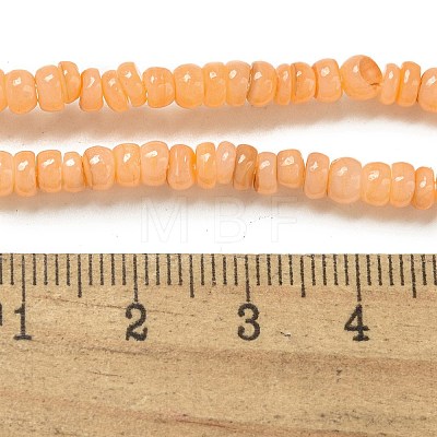 Dyed Natural Freshwater Shell Beads Strands BSHE-G039-07A-1