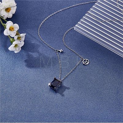 925 Sterling Silver Zircon Pendant Necklace 12 Constellation Pendant Necklace Jewelry Anniversary Birthday Gifts for Women Men JN1088D-1