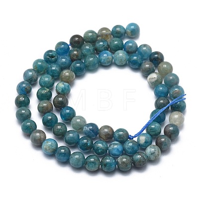 Natural Apatite Beads Strands G-I254-08B-1