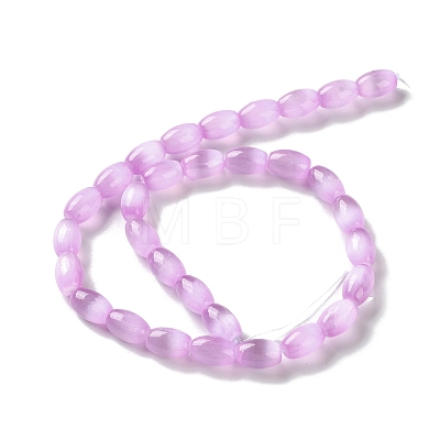 Macaron Color Natural Selenite Beads Strands G-B102-A01-04-1