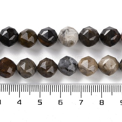 Natural Petrified Wood Beads Strands G-NH0021-A12-02-1