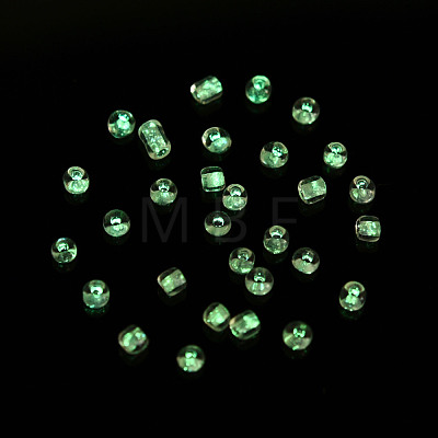 Glow in the Dark Luminous Transparent Glass Seed Beads SEED-YWC0001-01H-1